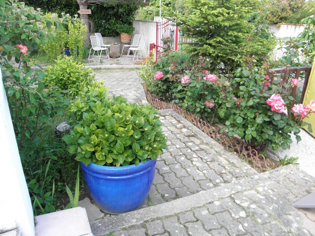 Bed & Breakfast Le Beausejour Carcassonne
